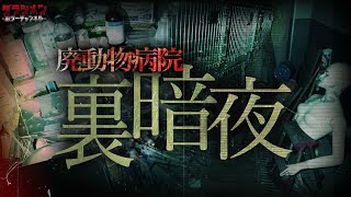 【心霊】噂のK動物病院へ行って来た/裏暗夜…やっぱり怖かった。
