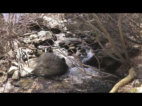 Video: Galena Creek Regional Park: Ang Kumpletong Gabay