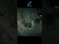 Red Dead Redemption 2 gaming rdr2 gameplay gamer reddeadredemption2 Red Dead Redemption 2 gaming rdr2 gameplay gamer reddeadredemption2