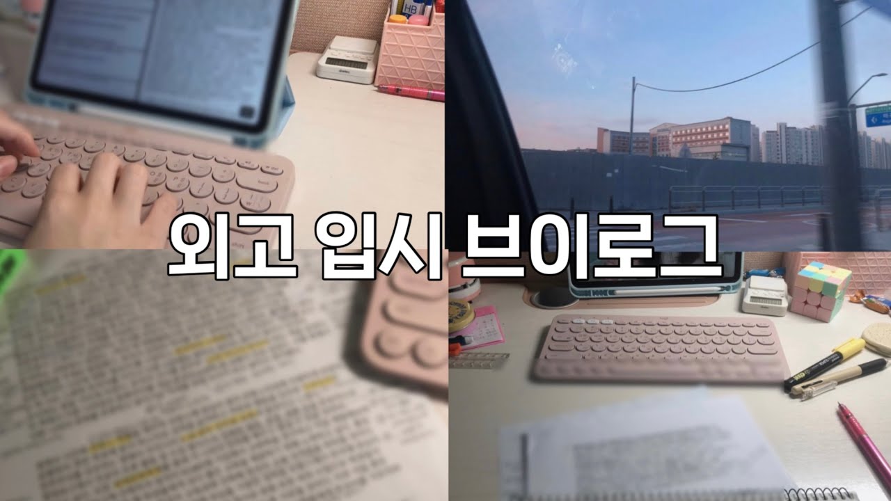 외고 입시 브이로그🍀 | 08년생 | 특목고 | 입시기록 | 2023년 브이로그 | 자소서 | 면접 | 예비고1 | 고입