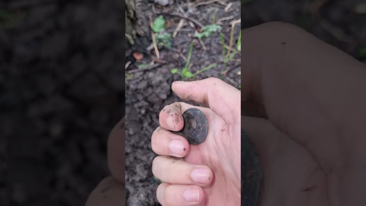 В пойсках клада,что нашел с Bounty hunter quick silver Металлодетектор