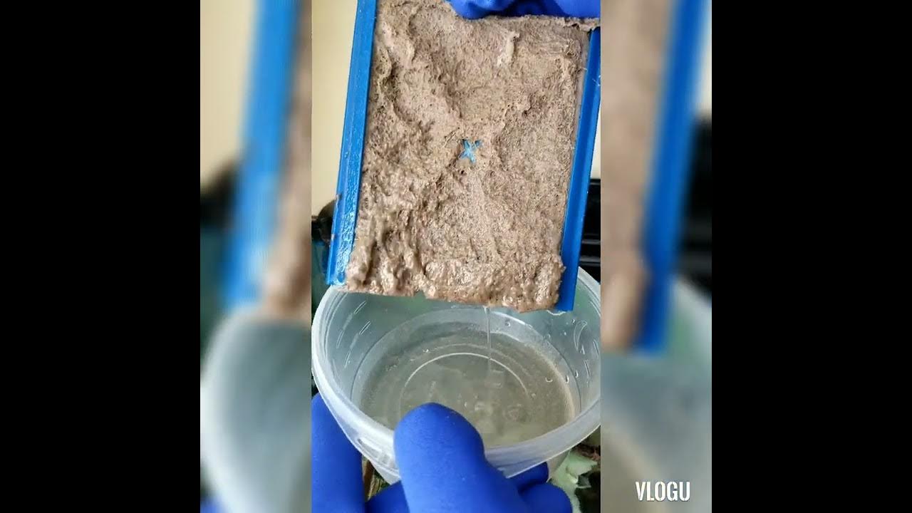 cleaning Aqueon quietflow 400 canister PT one. YouTube