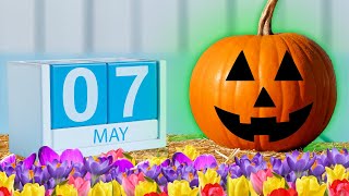 Finding Halloween Decorations in May!  Fall Decor Hunt in Spring