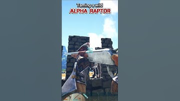 Challenge: TAME ALPHA RAPTOR #arksurvivalevolved