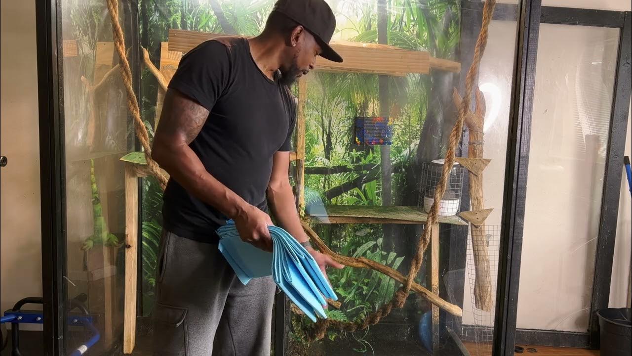Deep Cleaning Reptile Enclosure Rocket The Iguana YouTube