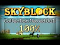 How we maxed EVERY COLLECTION (ish) | Hypixel SkyBlock Lemon #14