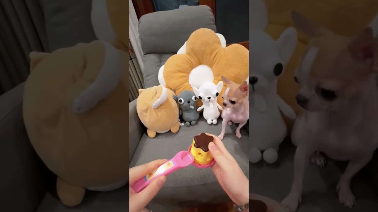  Let S Split These Cookies Together