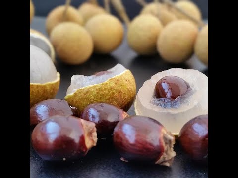 Vídeo: Longan Fruit: Benefícios Para A Saúde, Perfil Nutricional E Efeitos Colaterais