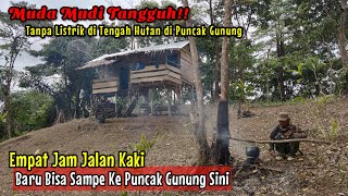 NEKAD !! PASANGAN MUDA BARU MENIKAH MEMILIH TINGGAL DI GUBUK TENGAH HUTAN DI PUNCAK GUNUNG