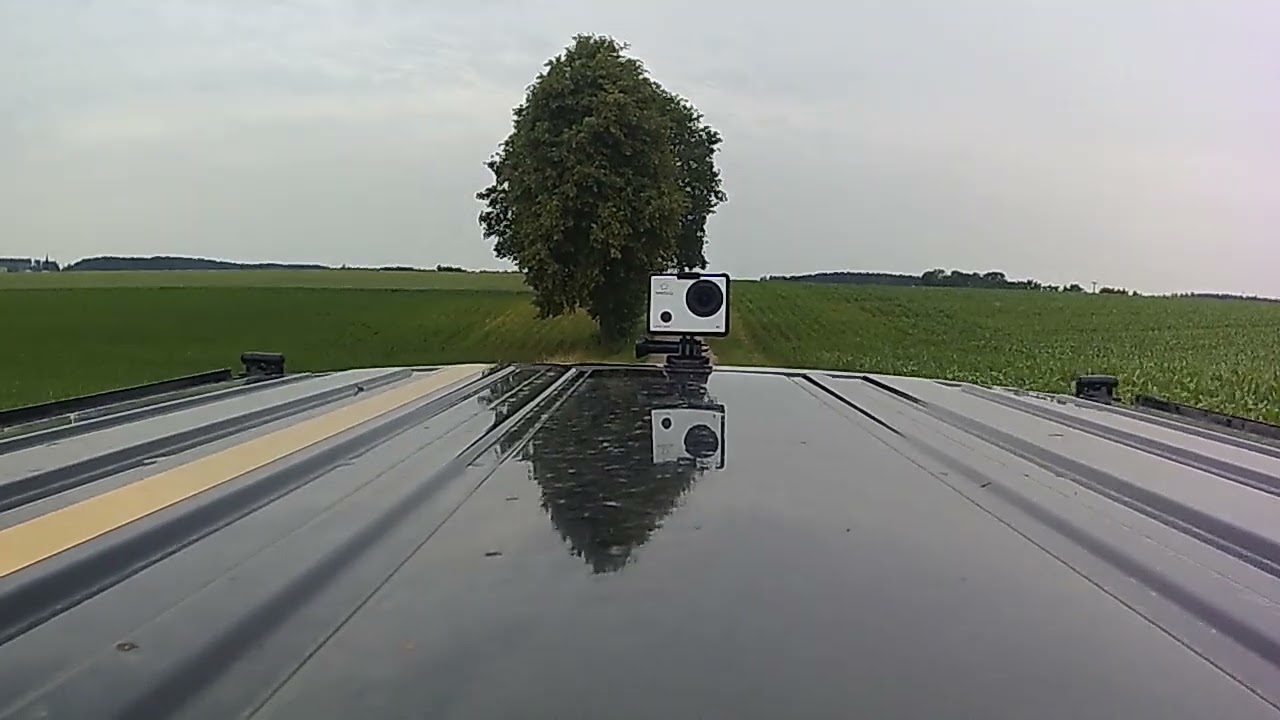 Ape Fahren nach hinten sehen.