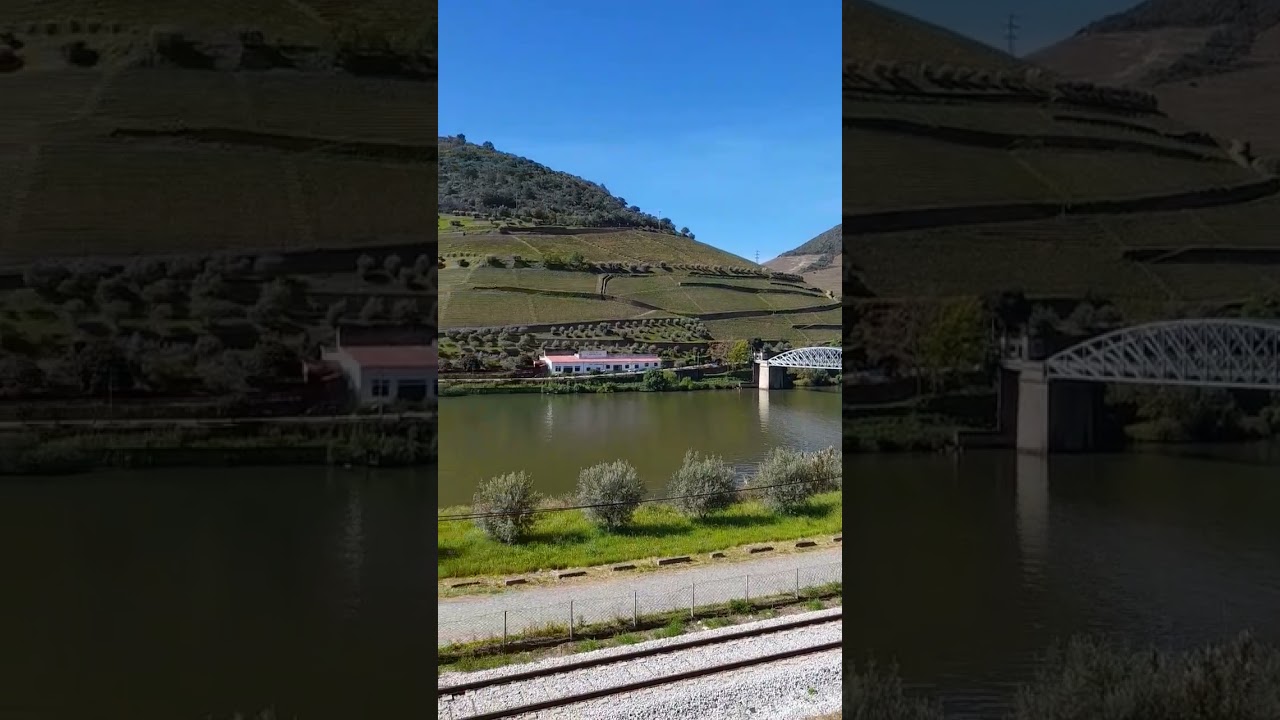 Douro Valley: A Scenic Journey 