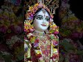 Tino loko se pyaari radha#radharanibhajan #trendingshorts #devotionalbhajan #bhajans #greatdevotion