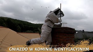 Download Lagu Gniazdo szerszeni w kominie wentylacyjnym - usuwanie gniazda szerszeni na wysokości MP3 Download Lagu Gniazdo szerszeni w kominie wentylacyjnym - usuwanie gniazda szerszeni na wysokości MP3
