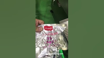 Automatic manual feeding chain cup elevator feeding to rotary premade bag packing machine