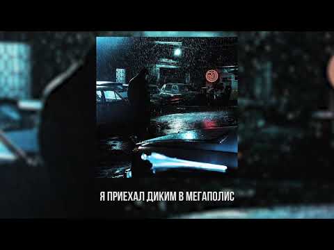 104 - МИМО ДЕ ЖАНЕЙРО