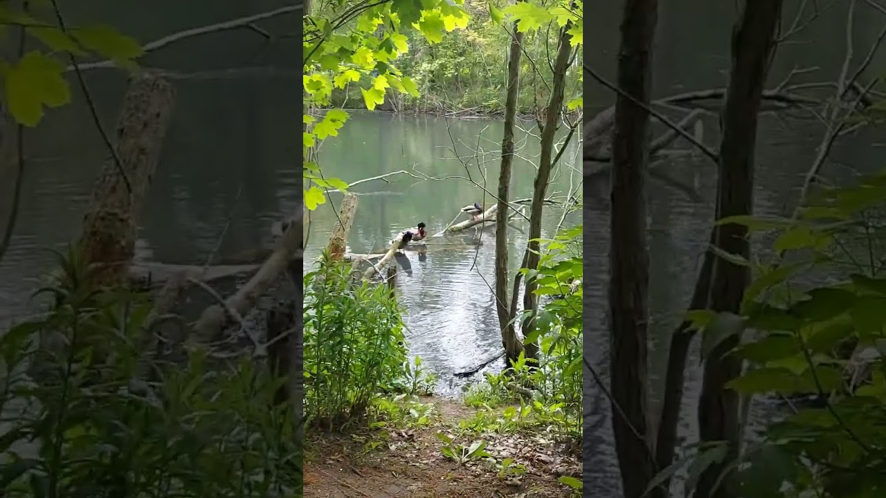 High Park, Toronto - Hike, walk and talk - beautiful views