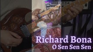 Richard Bona - O Sen Sen Guitar Cover #shorts screenshot 5
