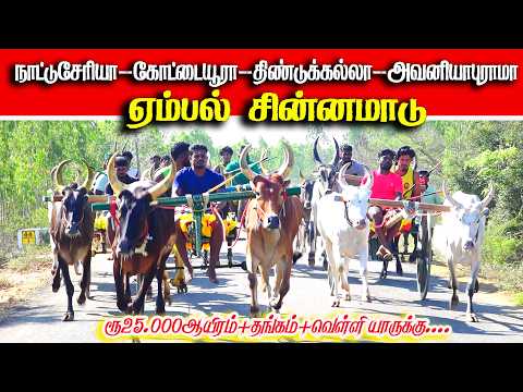 ஏம்பல் சின்னமாடு 2 பந்தயம் 04.03.2026