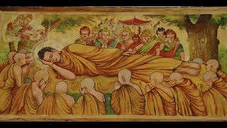 NIKAYA - Tụng Kinh Đại Bát Niết Bàn & Chia Sẻ Cảm Xúc