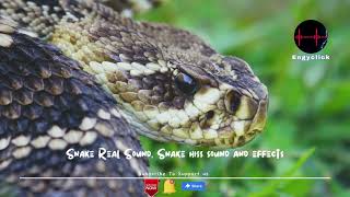 Snake sound real l snake hiss sound and effect | Engyclick