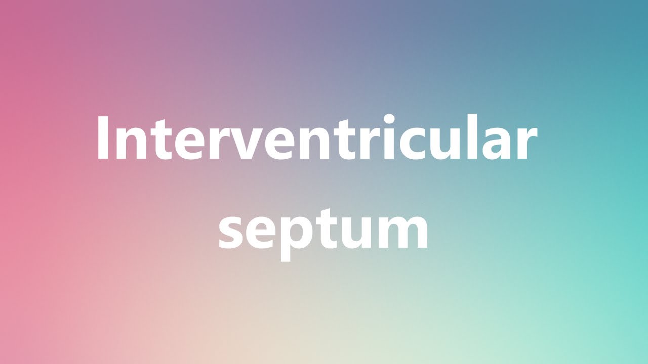 Interventricular septum Medical Definition and Pronunciation YouTube