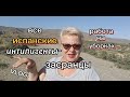 РАБОТА на УБОРКАХ в ИСПАНИИ/РАСПАКОВКА-ЧТО я КУПИЛА на 40евр/ЖИЗНЬ в ИСПАНИИ/,VLOG