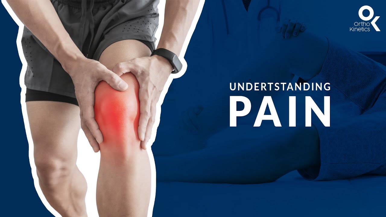 Understanding Pain | Dr Sean Leo (Orthokinetics)