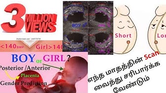 babygender - YouTube babygender - YouTube