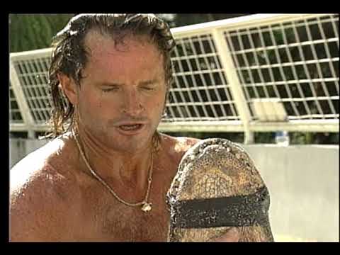 Alligator Wrestler - American Story with Bob Dotson 