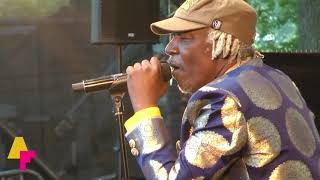 Alpha Blondy & The Solar System - No Brain no Headache - LIVE at Afrikafestival Hertme 2018 chords