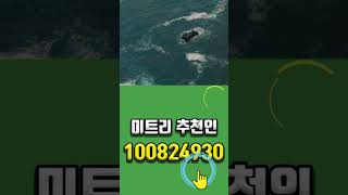 미트리 추천인코드 100824930 | 핫도그