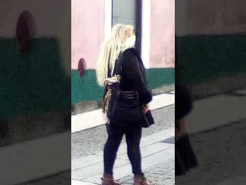 Pintassilgo na Junqueira