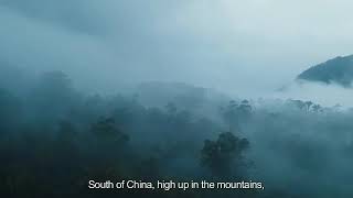 MOJIN:The_Worm_Valley_-_Trailer_HD©