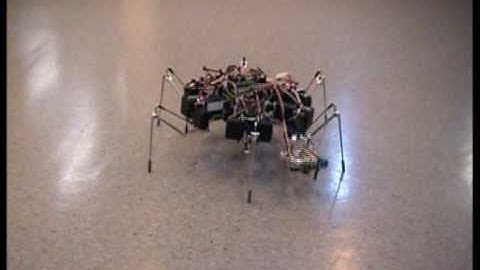 circular omnidirectional hexapod dance routine