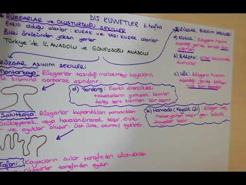 10.sınıf Coğrafya Dış