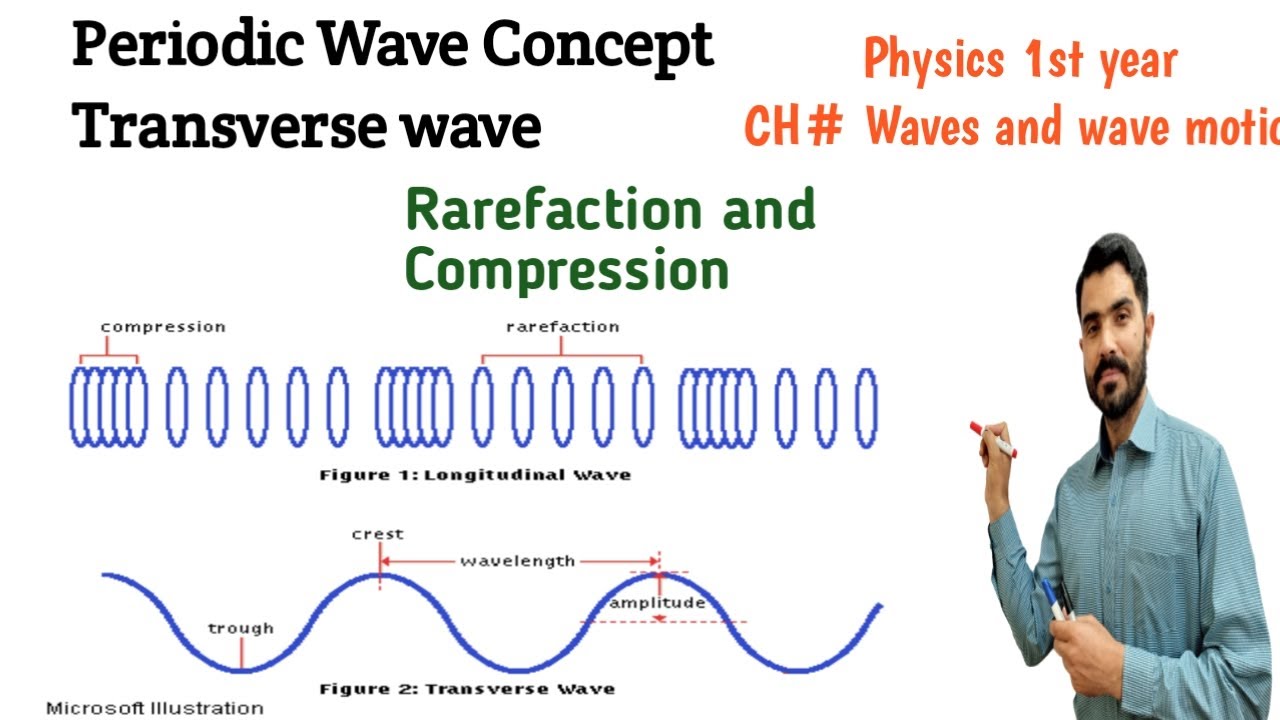 Periodic waves concept Tranverse wave, rarefaction and compression Urdu