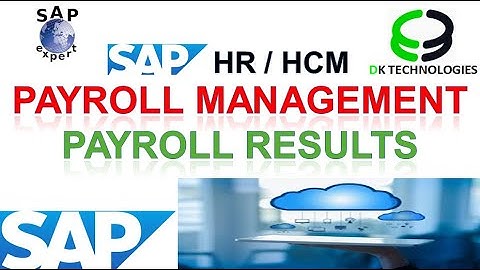 How to Configure Display Payroll Result | How to run Payroll Process in sap | DK TECHNOLOGIES