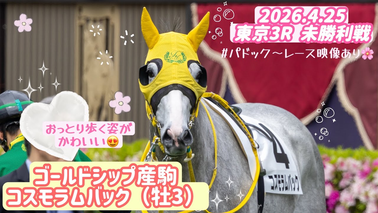 Gold Ship's offspring] A Gold Ship foal that walks gently 🐴🌸 and