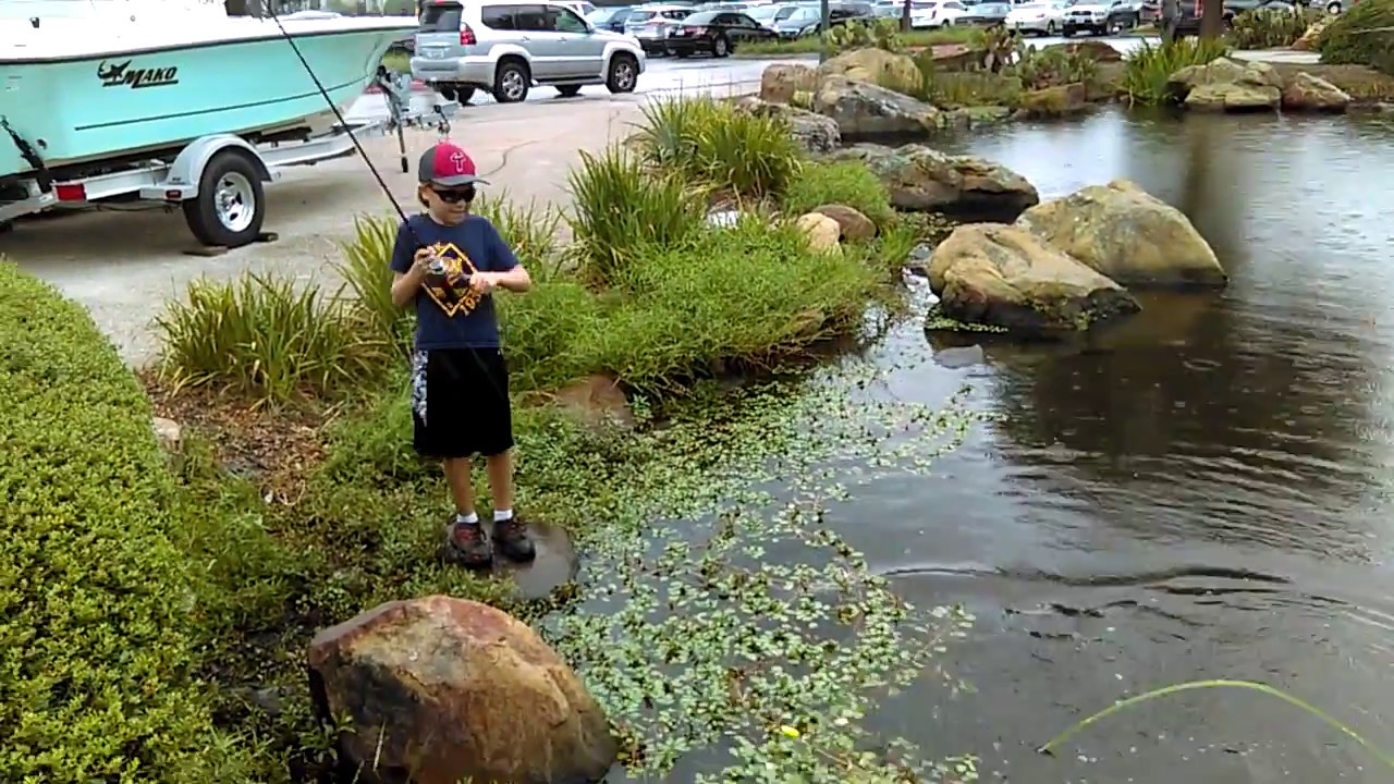 3lb. Channel Catfish Magic Bait Strawberry Catfish/Carp Bait YouTube