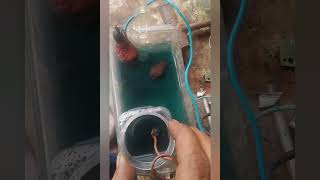 Proses Refining Logam Emas Perak Palladium Dari Tembaga Sistem Electrowinning