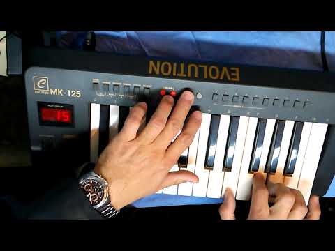 EVOLUTION MK-125 (MIDI kontroler)