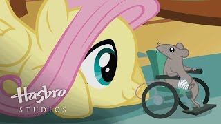 Friendship is Magic - Fluttershy's Element of Harmony