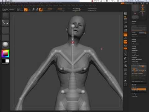 where is rigging menu at in zbrush