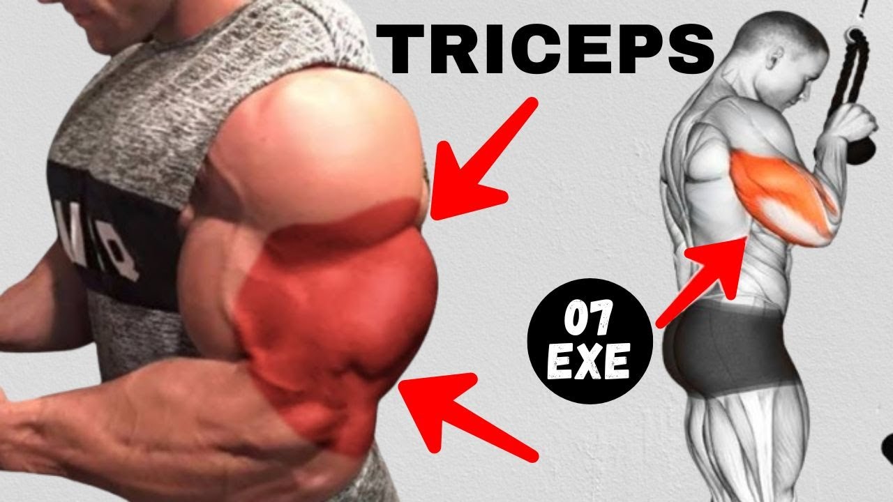 GET Bigger Arms FAST with These 7 Triceps Exercises | Triceps Workout ...