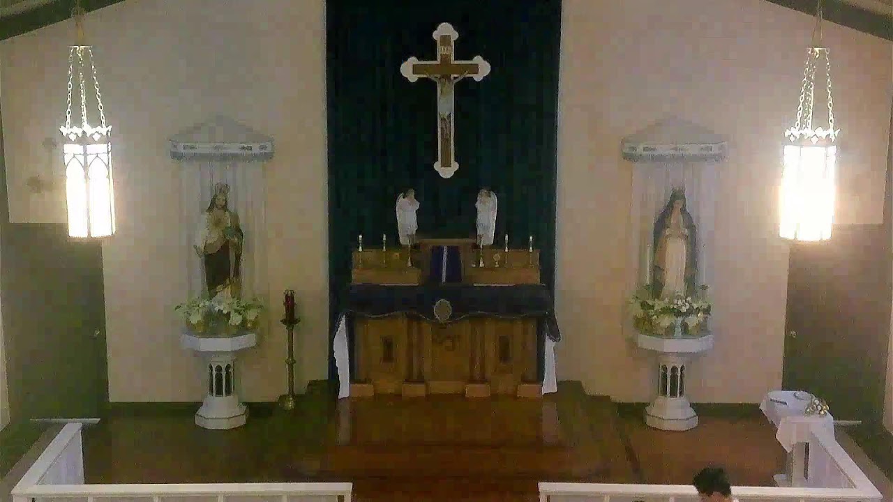 WEDNESDAY, February 15