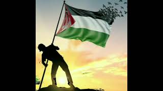 فيديو معبر عن فلسطين. صوت عثمان خميس
