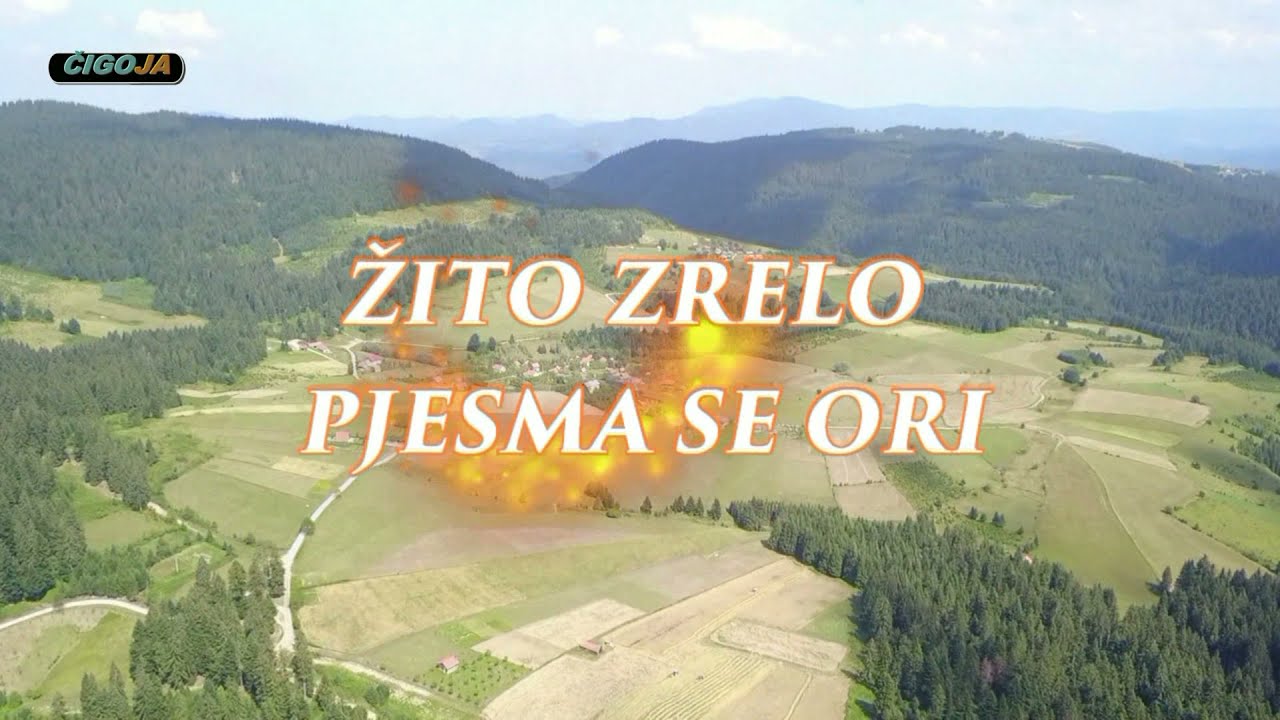 - ŽITO ZRELO PJESMA SE ORI OSTOJA LEGENDA KNEŽEVA 2021