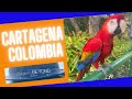 Celebrity beyond  exploring cartagena colombia
