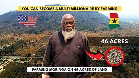 MOVED FROM THE USA TO GHANA, I NOW OWN OVER 46 ACRES OF FARMLAND IN GHANA