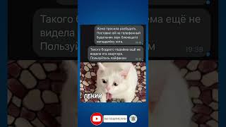 #переписки #шутки #мемы #прикол #анекдоты #смешно #прикольно